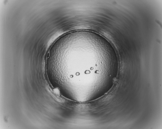 X0000100911179200807011237