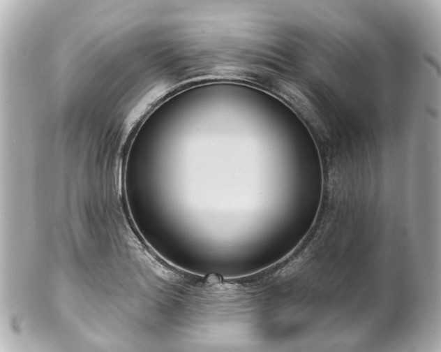 X0000100911180200807011237