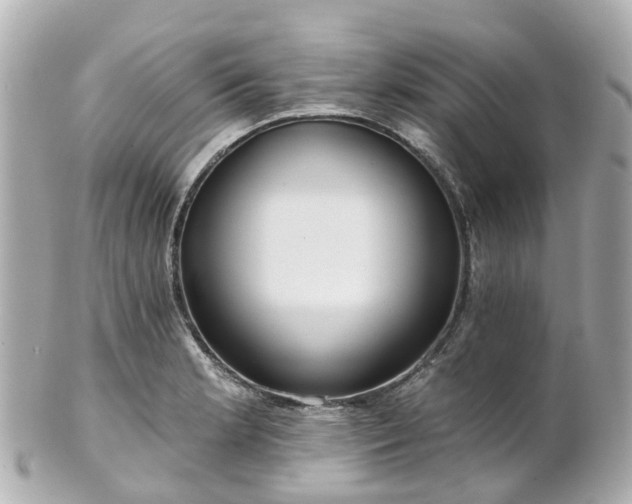 X0000100911181200807011237