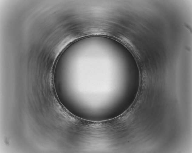 X0000100911182200807011237