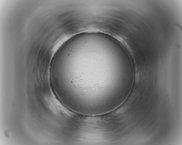 X0000100911183200807011237