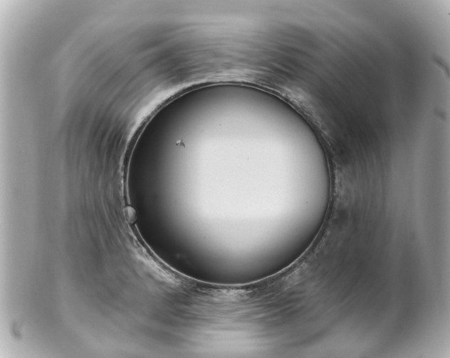 X0000100911184200807011237