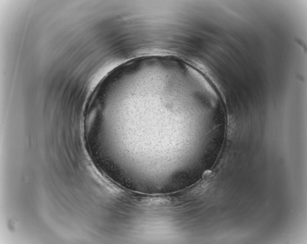 X0000100911187200807011237