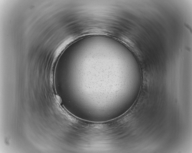 X0000100911188200807011237