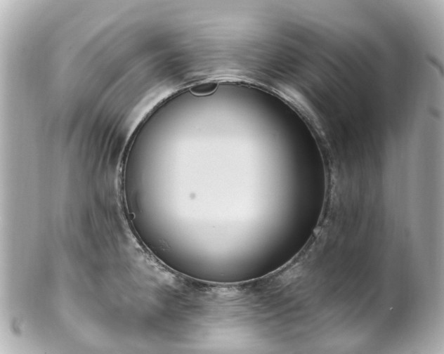 X0000100911190200807011236