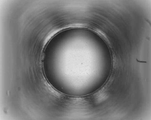 X0000100911192200807011236