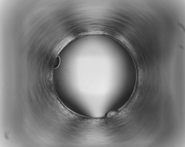 X0000100911193200807011236