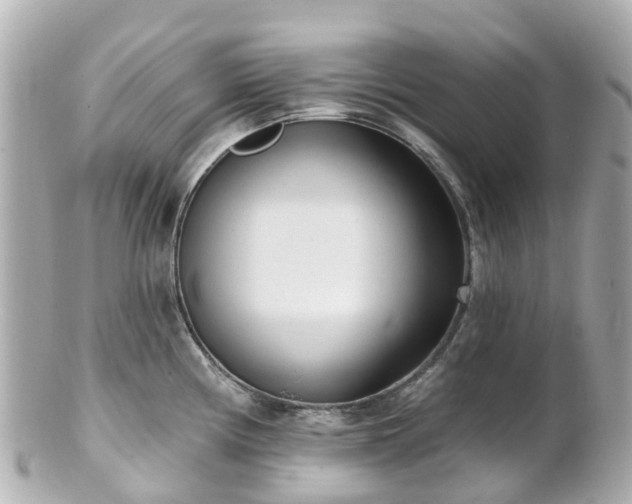 X0000100911194200807011236
