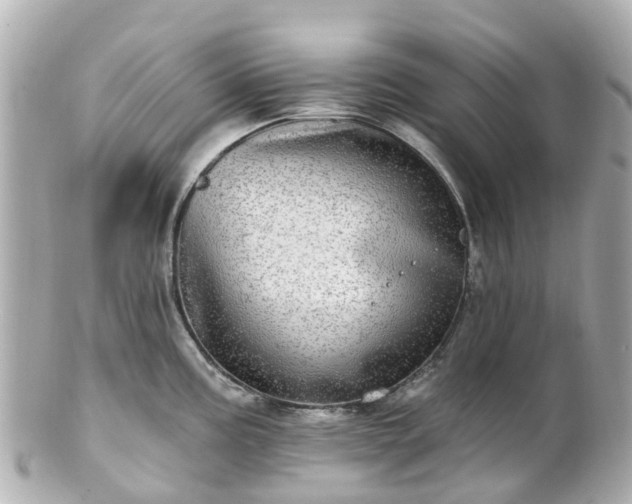 X0000100911195200807011236