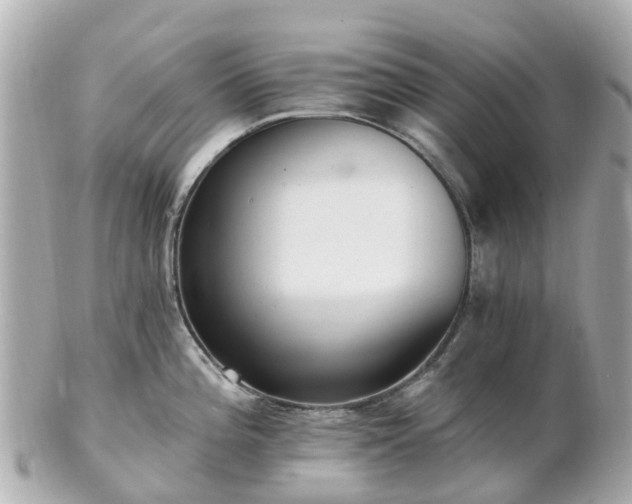 X0000100911196200807011236