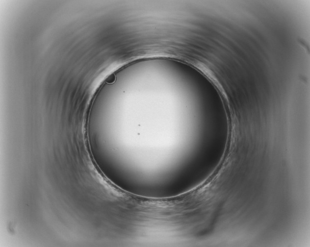 X0000100911197200807011236