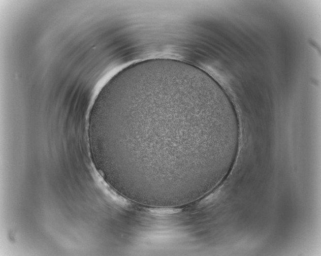 X0000100911200200807011236