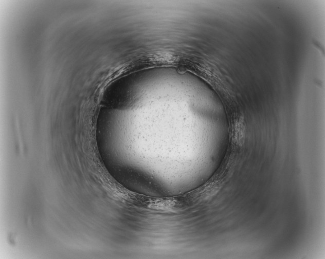 X0000100911201200807011235