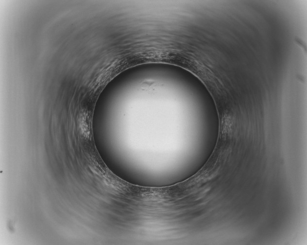 X0000100911202200807011236