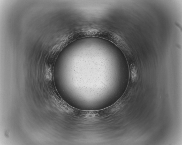 X0000100911204200807011236