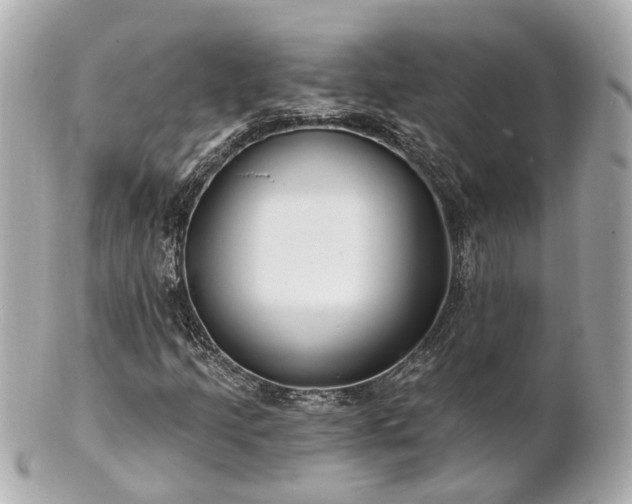 X0000100911205200807011236