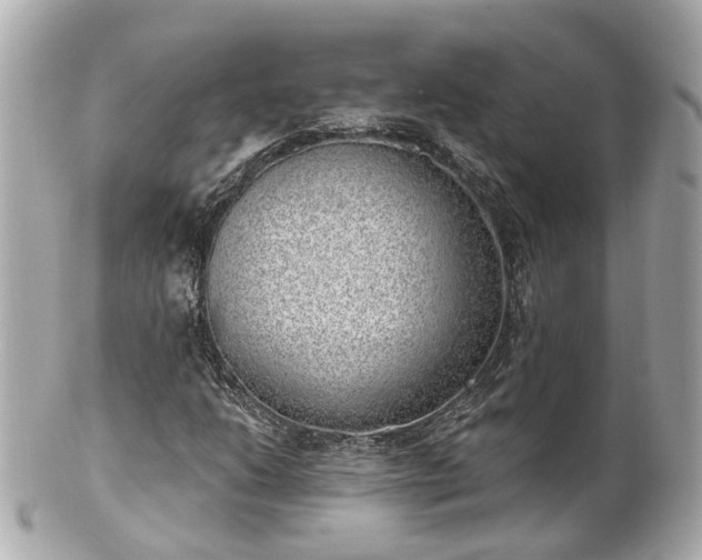 X0000100911206200807011236