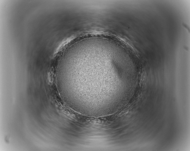 X0000100911207200807011236