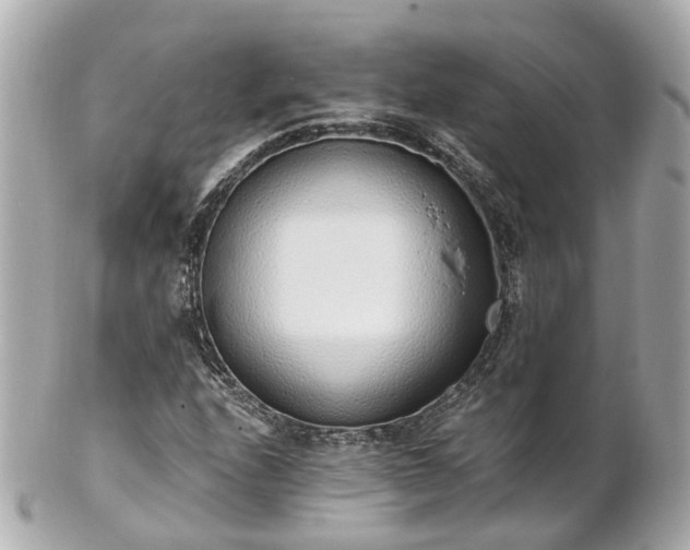 X0000100911208200807011236