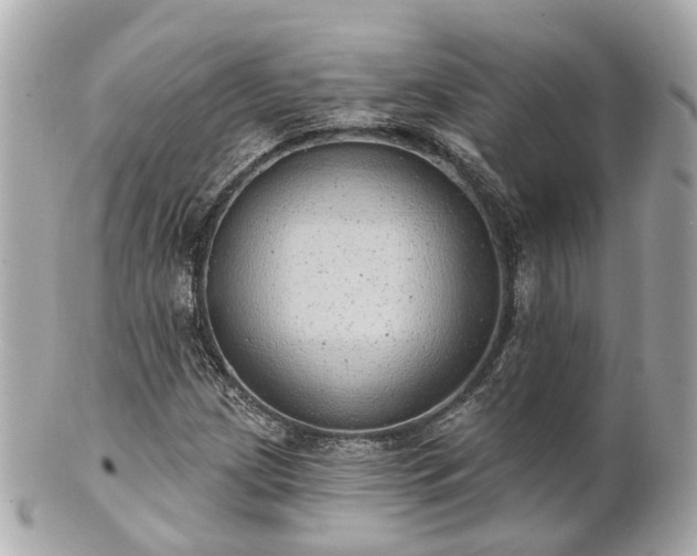 X0000100911209200807011236