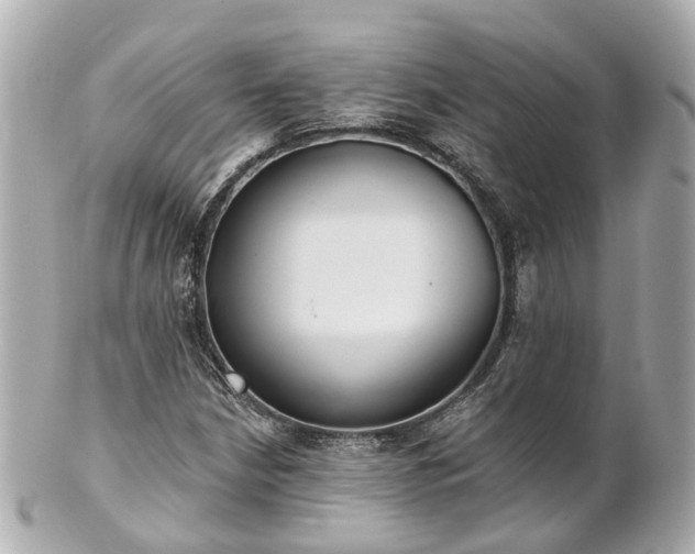 X0000100911210200807011236