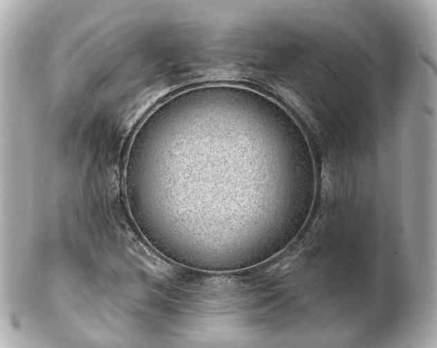 X0000100911212200807011236