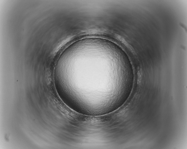 X0000100911213200807011236