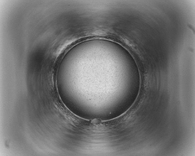 X0000100911214200807011236