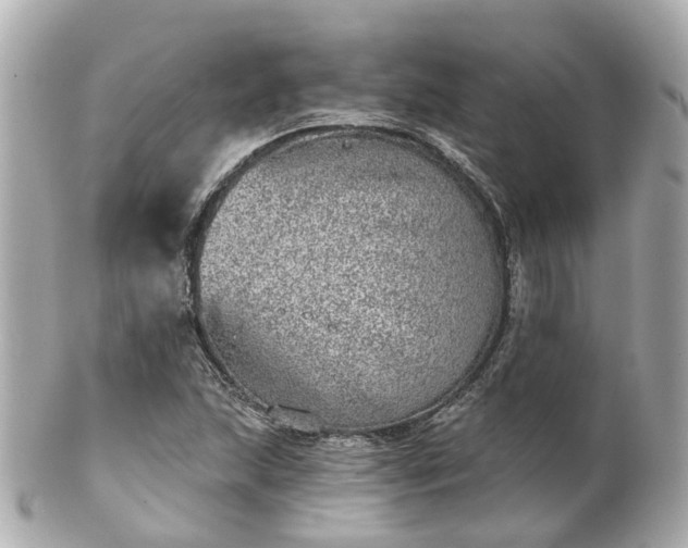 X0000100911215200807011236