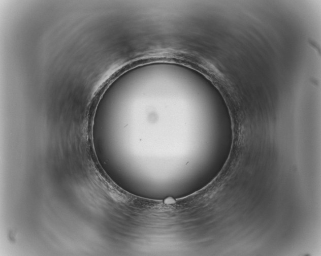 X0000100911216200807011236
