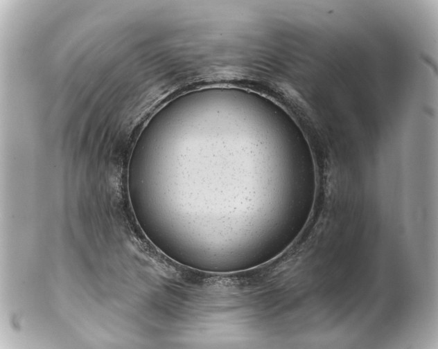 X0000100911217200807011236