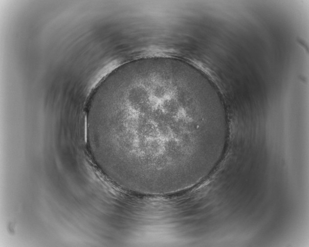 X0000100911219200807011236