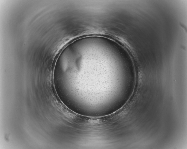 X0000100911220200807011236
