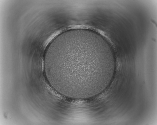 X0000100911221200807011236