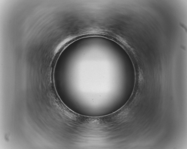 X0000100911222200807011236
