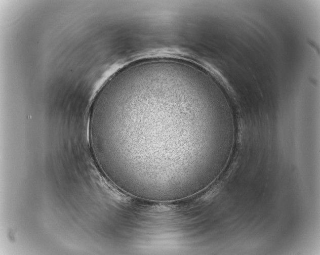 X0000100911224200807011236