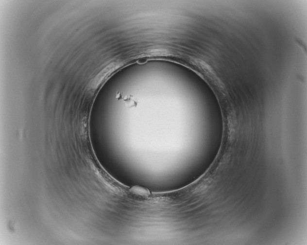 X0000100911225200807011236