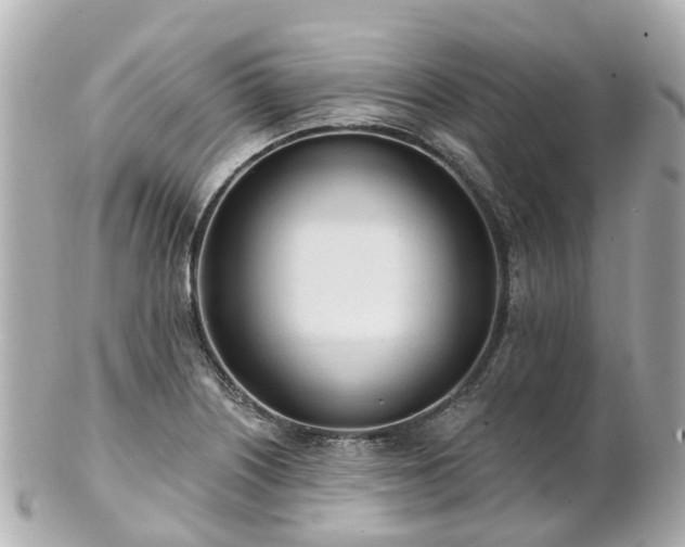 X0000100911226200807011236