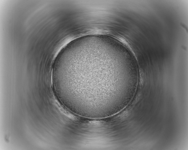 X0000100911227200807011236