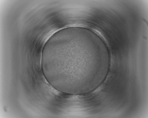 X0000100911228200807011236
