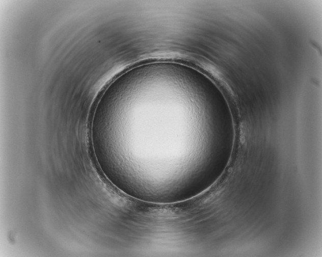 X0000100911229200807011236