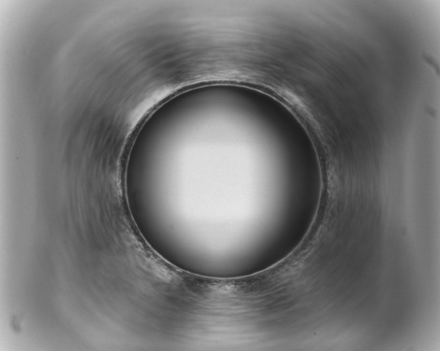 X0000100911230200807011236