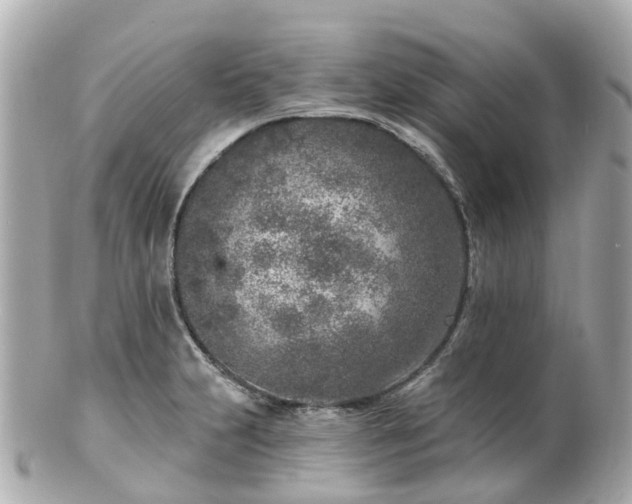 X0000100911231200807011236