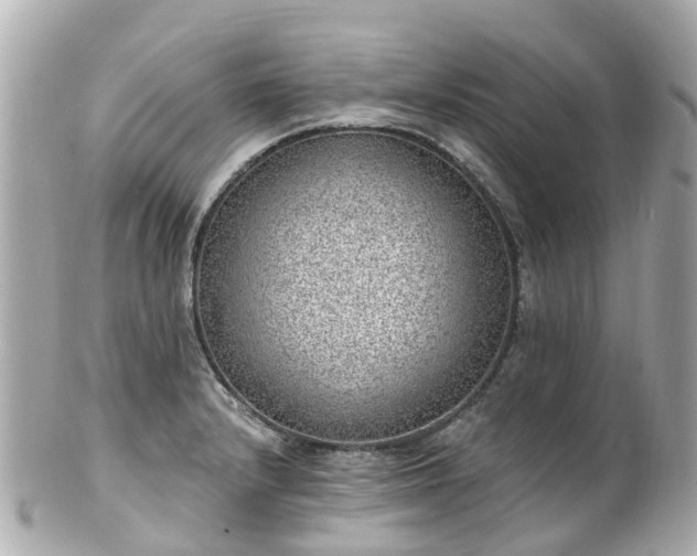 X0000100911232200807011236