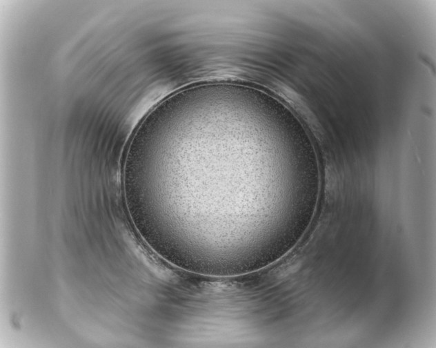 X0000100911234200807011236