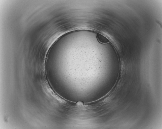 X0000100911236200807011236