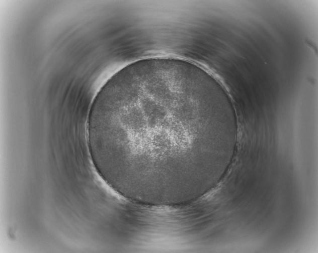 X0000100911239200807011236