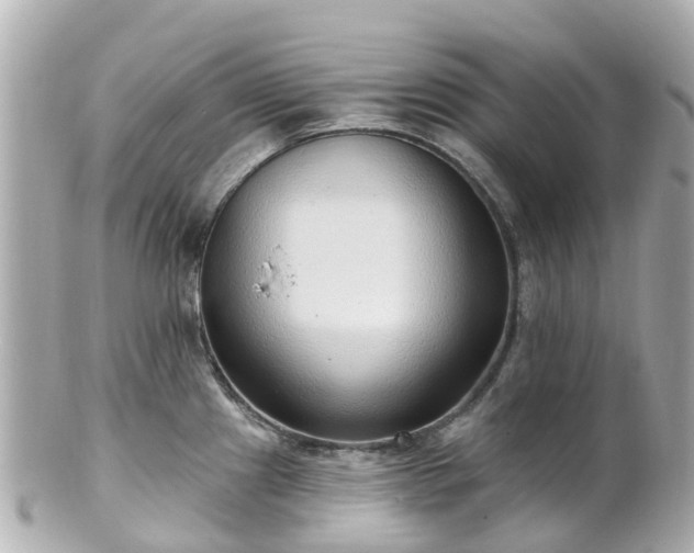 X0000100911241200807011236