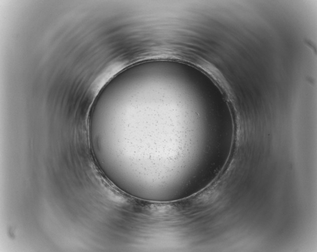 X0000100911242200807011236