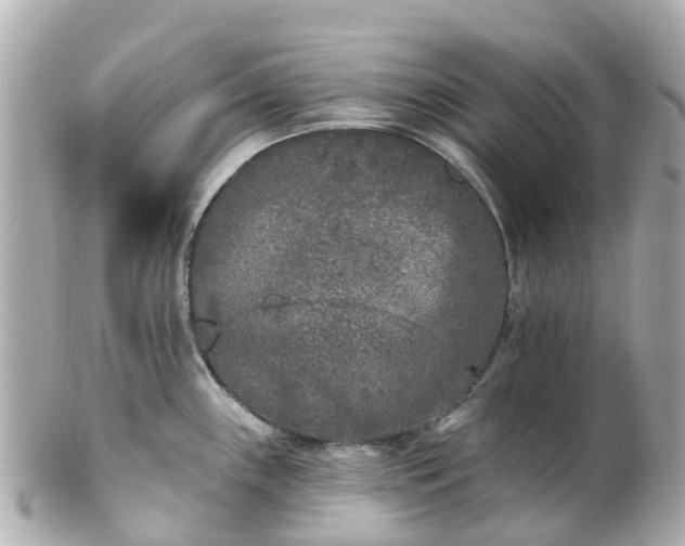 X0000100911243200807011236